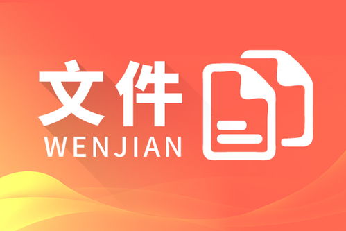 MACSV DCS 翻譯型仿真軟件開發(fā) 山東軟件開發(fā)團(tuán)隊的技術(shù)實踐